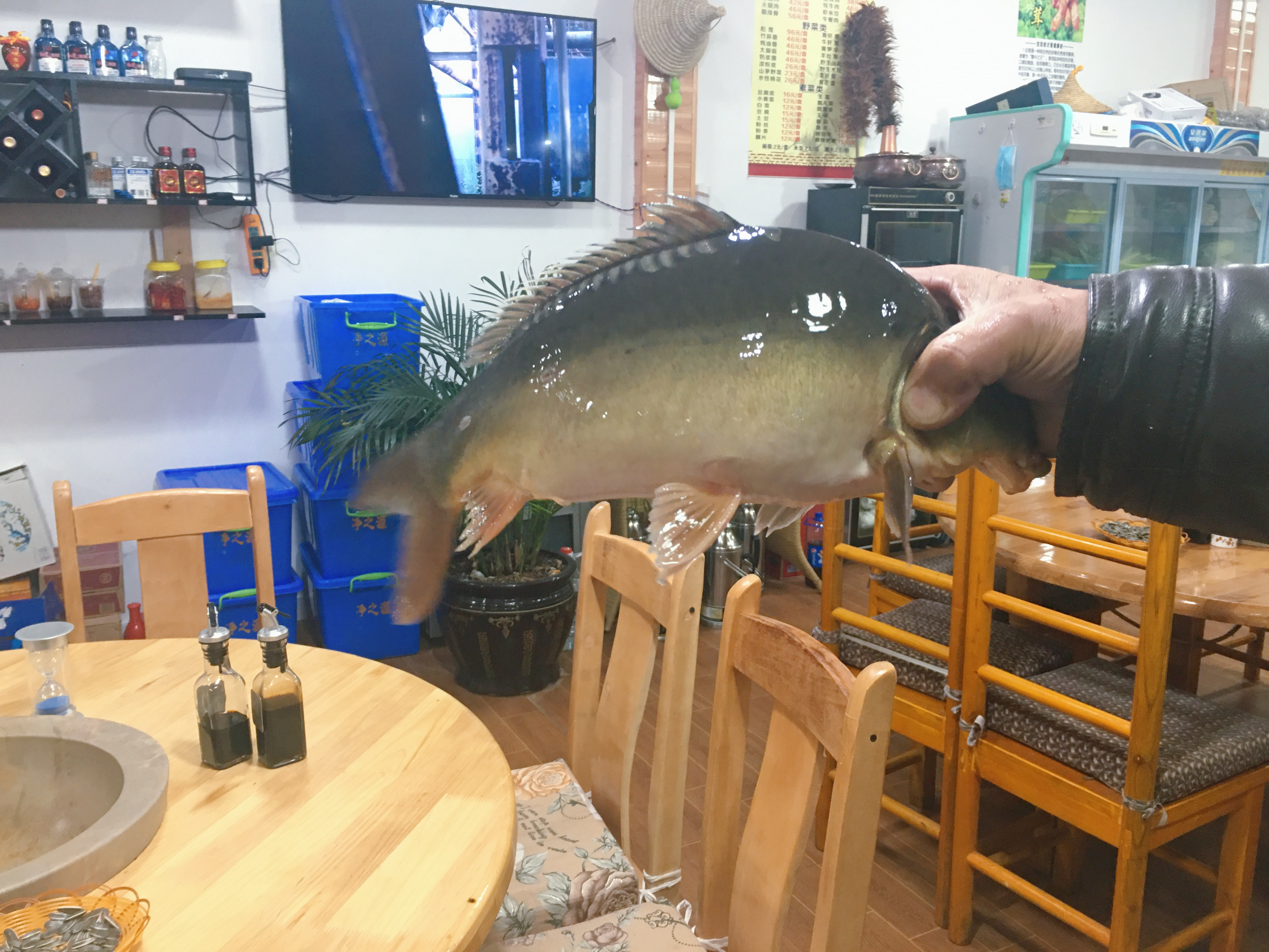 泸沽湖摩梭人美食,泸沽湖母亲的湖