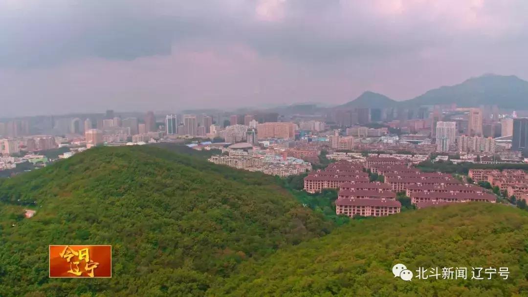 辽宁大连新闻联播今天,最新中央电视台报道大连