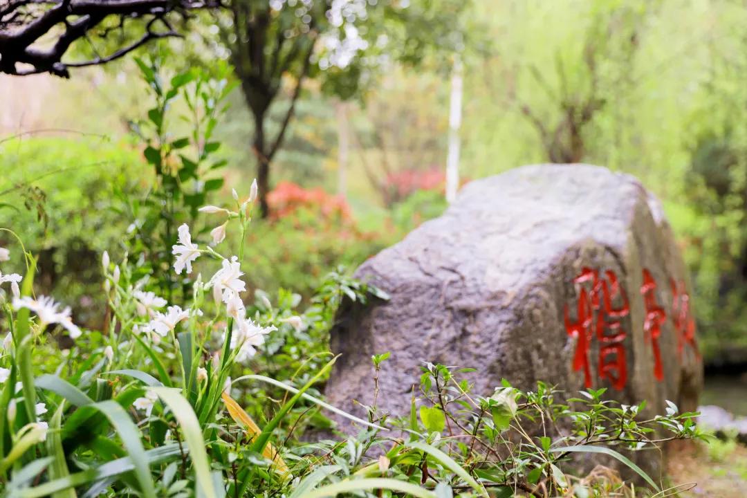 望城区的美景,望城的美景有哪些