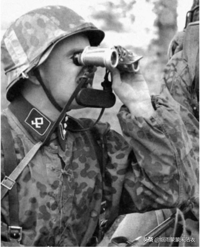 巴尔干的恶棍，*党**卫军“欧根亲王师”组建过程及战史