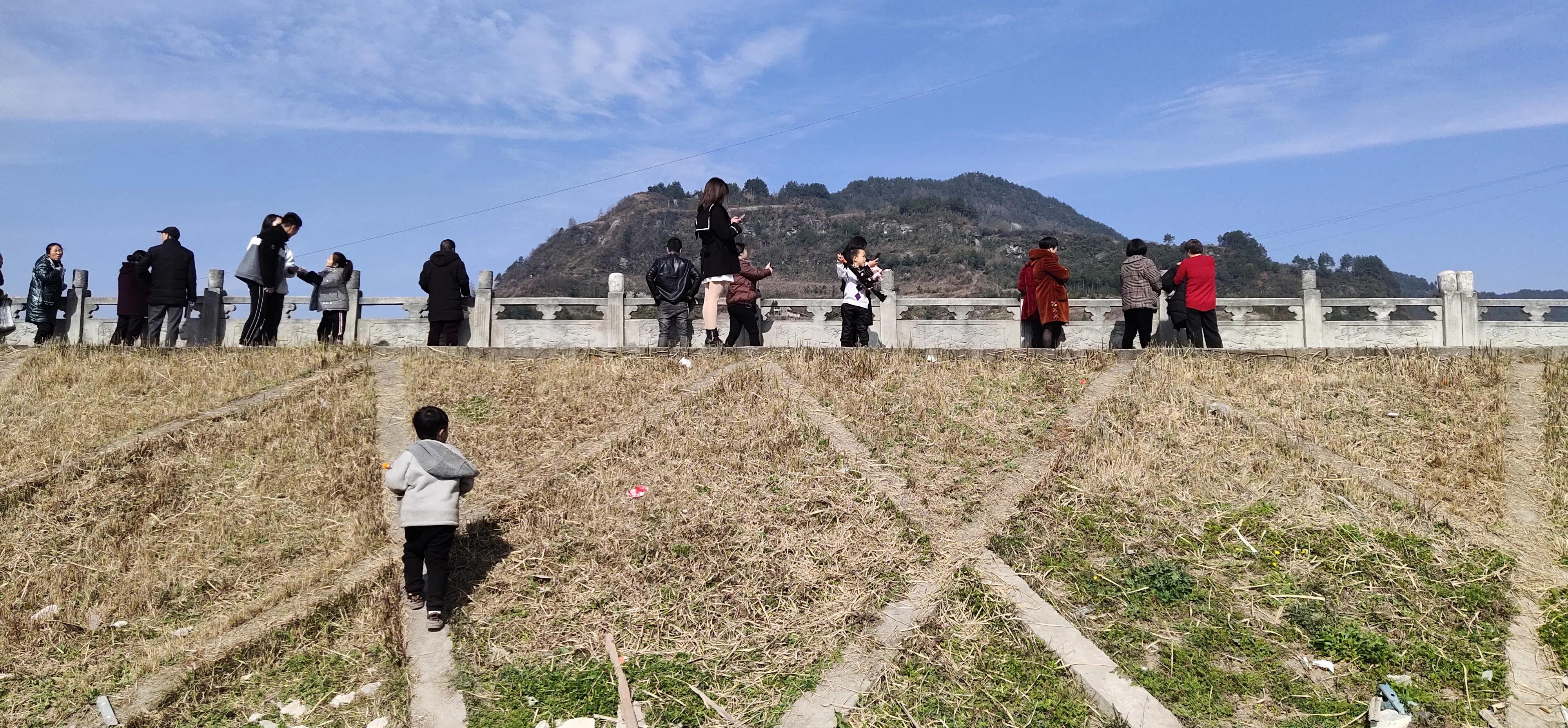 登高感想100字以上,初九登高