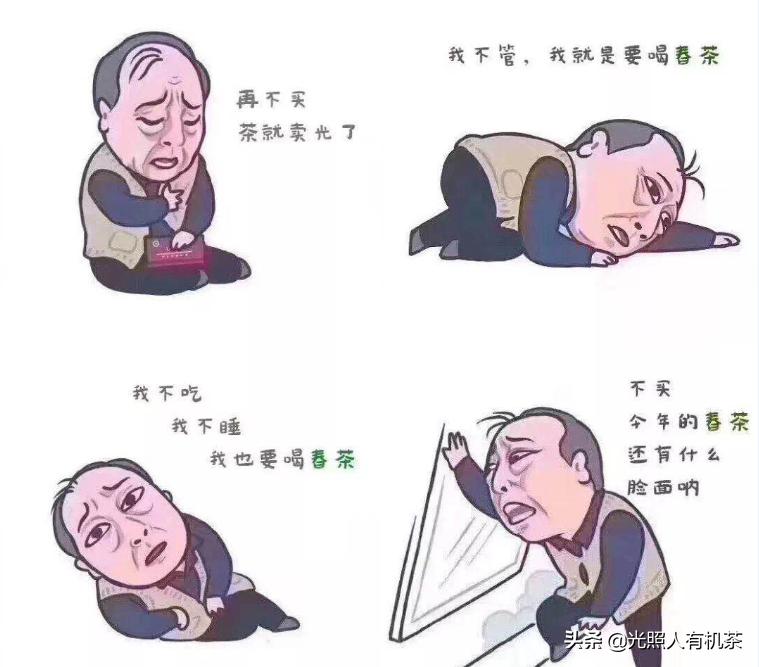 陈瑾在都挺好里扮演什么角色,都挺好角色介绍