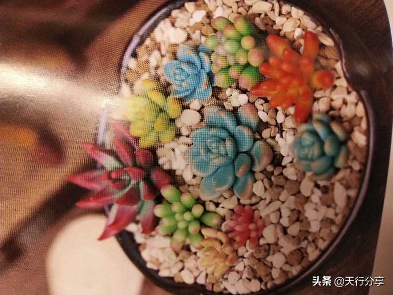 软陶工艺diy,软陶饰品制作