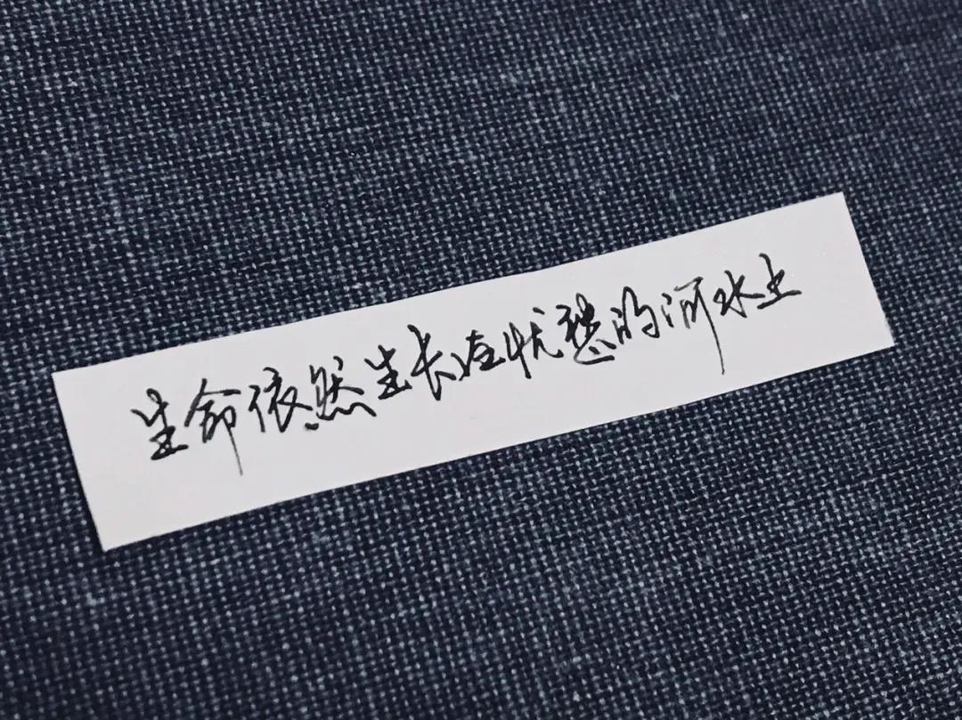 文具控|来自手写钢笔控的11支钢笔测评