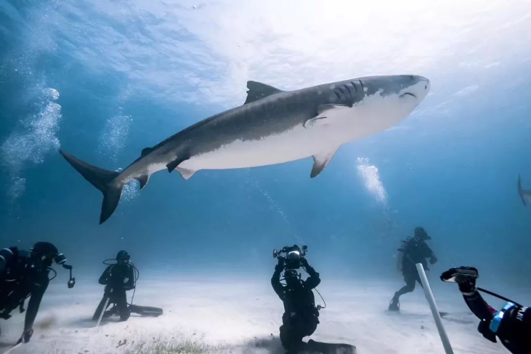 洞穴潜水视频打捞全过程,洞穴潜水的真实感受