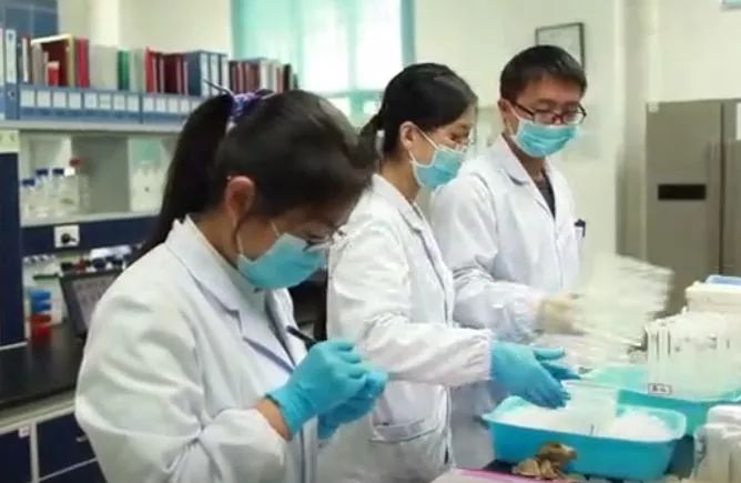 颜宁的老师,颜宁的老师个人简介