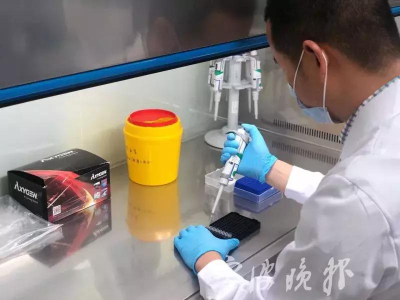 女子做亲子鉴定找亲爸找亲哥,女子逼母亲做亲子鉴定