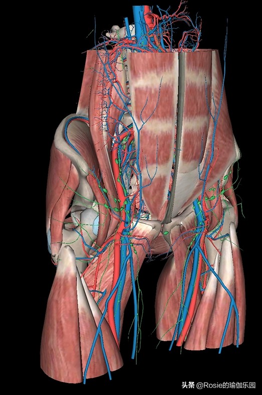 大腿上的肉肉怎么捏,大腿肉一捏好多凹凸不平怎么回事