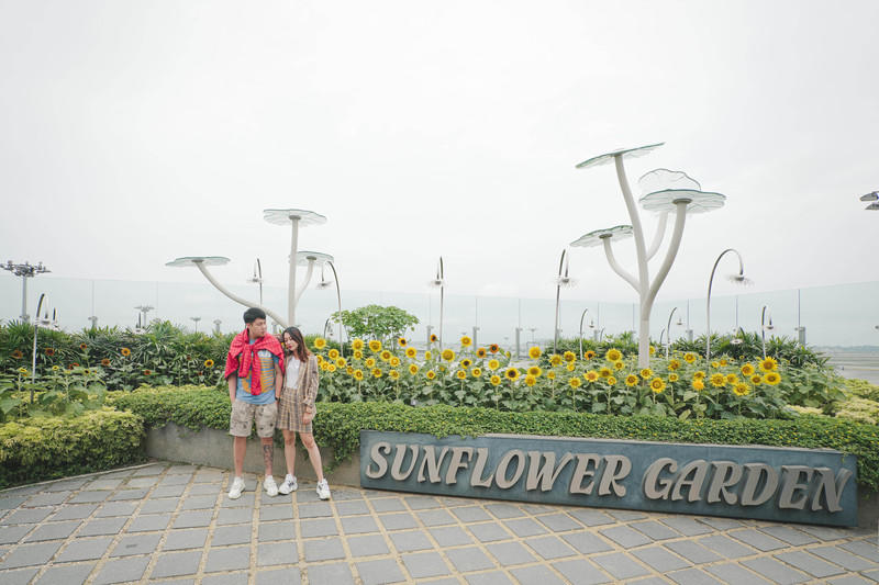 一人一猫环游,一人一猫旅行