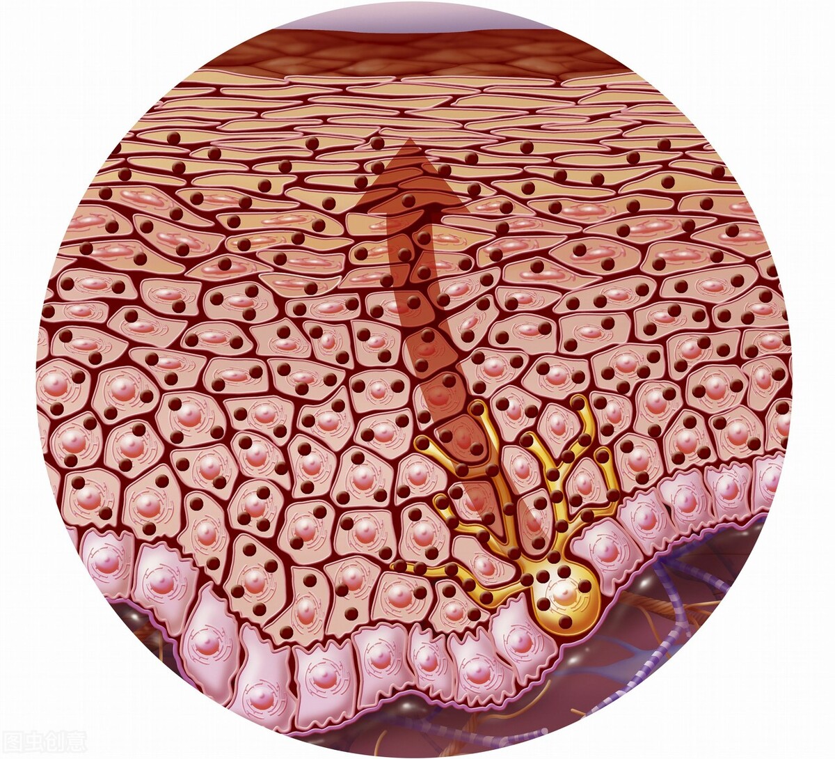 手上和脸上的色斑怎样去掉,熬夜脸上长的色斑怎么去掉