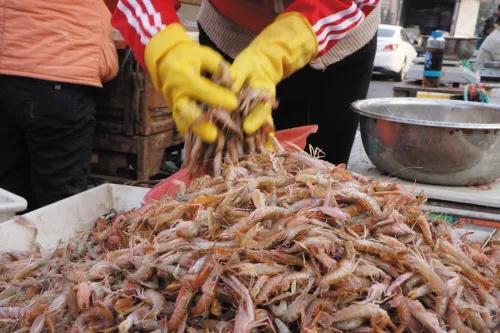 荣成最正宗的海鲜,荣成的小海鲜都有啥