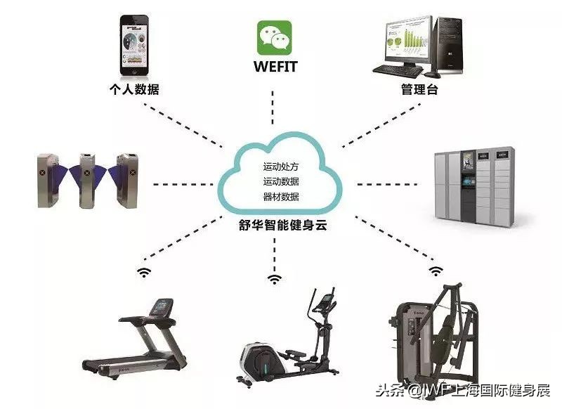 专栏丨再多DG都不如一台跑步机