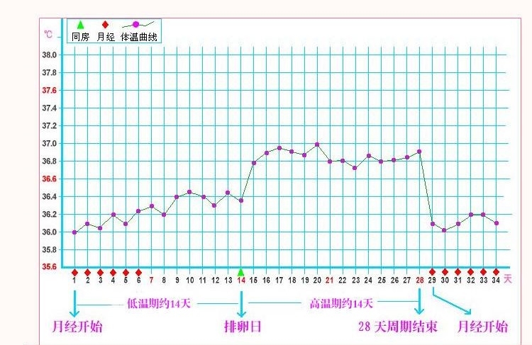 排卵的时候有什么反应和症状,排卵时有什么症状或感觉
