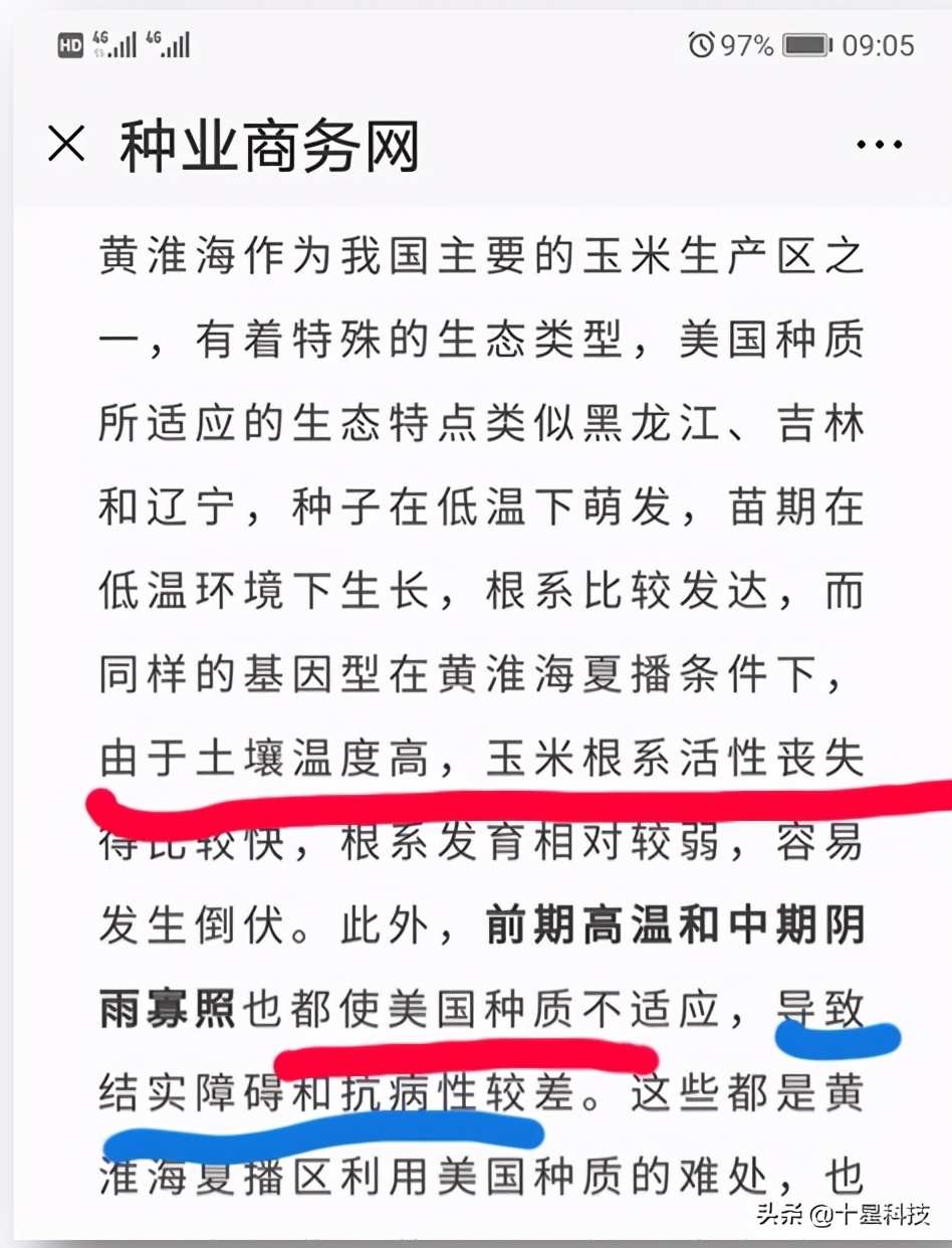 玉米密植高产还是稀植高产,玉米品种稀植品种有哪些