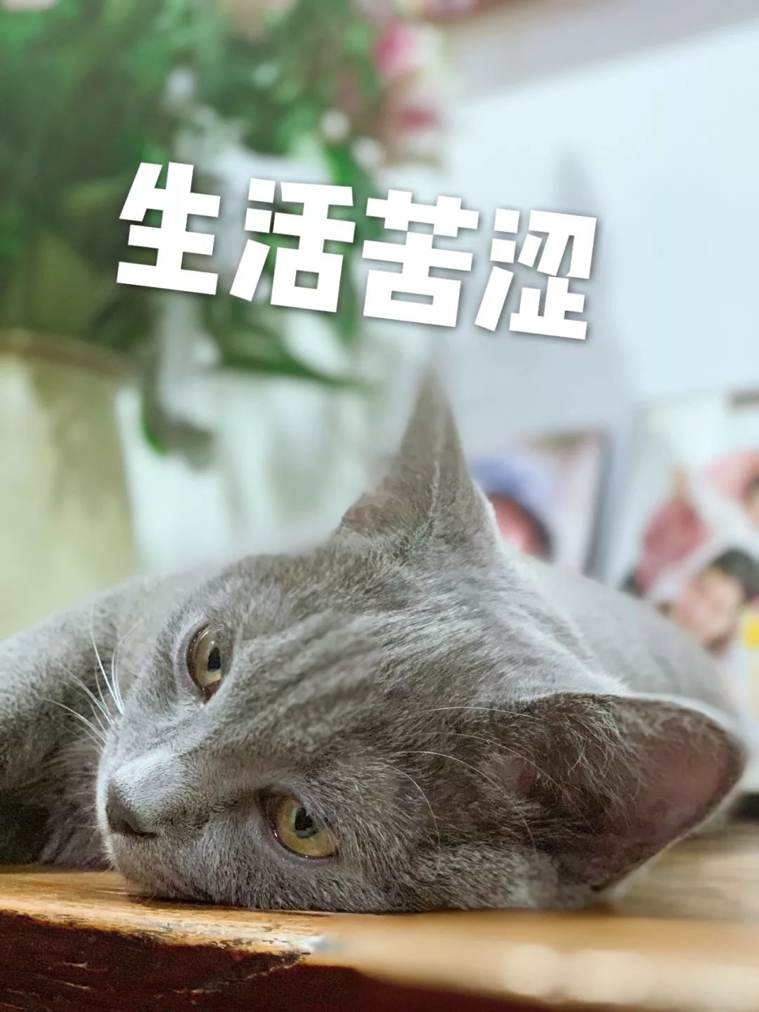 我妻子不幸离世，她婚前*款贷**买的房如何能够办理到我名下？