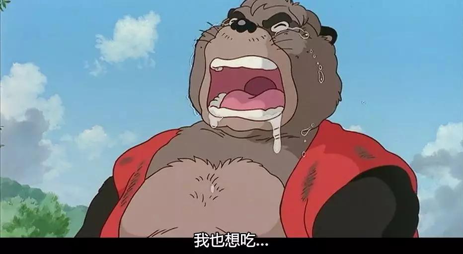 动画片里的那些猫原型都是啥,盘点动画片里的动物猫的原型