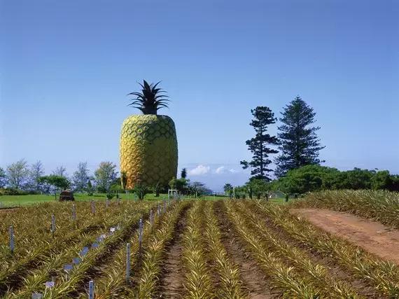 世界上最奇特的100个地方,世界十大奇特的景点