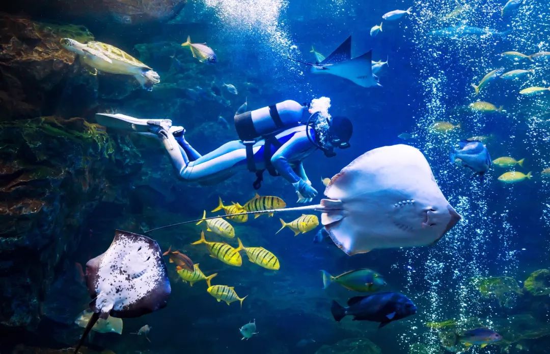 一个人旅行之厦门,一个人去厦门旅行攻略大全