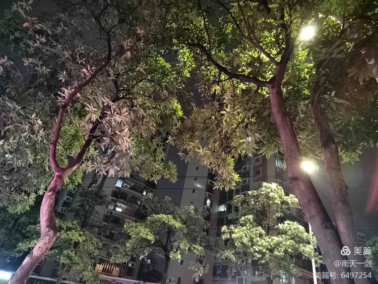 霜降粤语版,霜降粤语歌曲