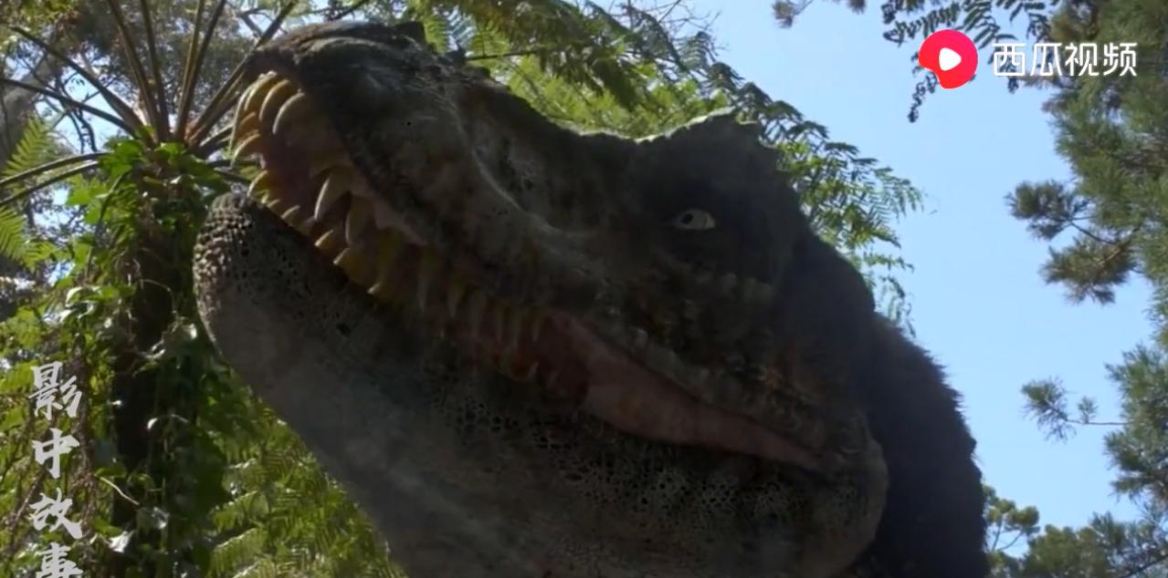 最真实的恐龙视频特效,恐龙霸王龙视频大全真实版