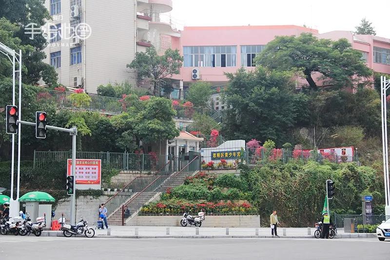 厦门的囝仔，你的母校还在吗？（三）