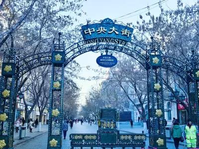 哈尔滨市内环境,哈尔滨一年四季的现状