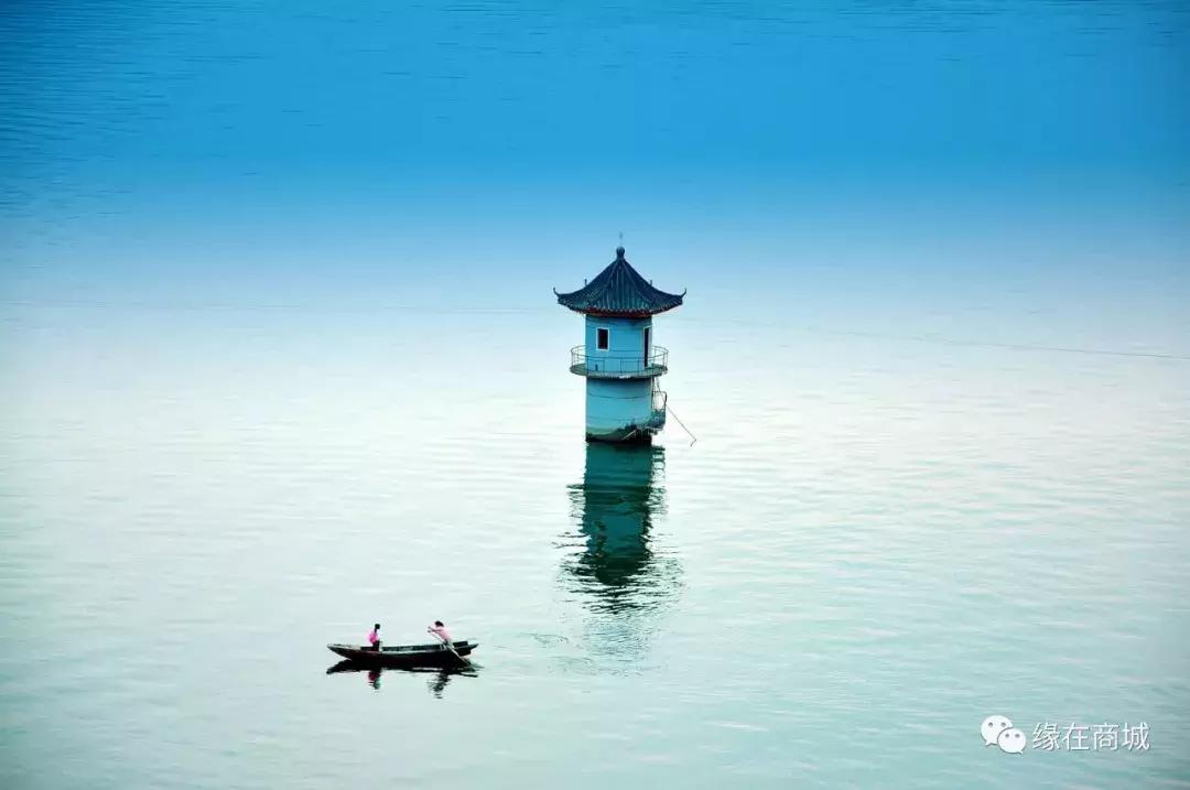 「品读」我的前男网友——以后真的不单独见面吗?/江河之王