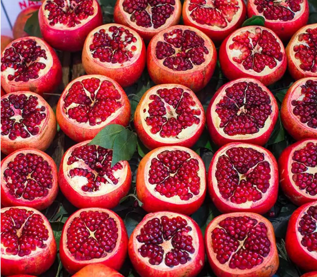 中国石榴品种突尼斯,突尼斯石榴品种