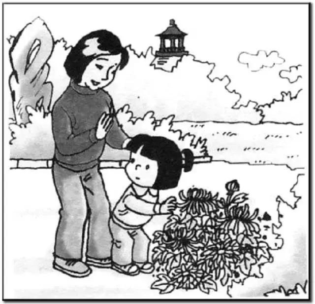 一年级打电话看图写话例文,看图写话小蜜蜂采花蜜例文