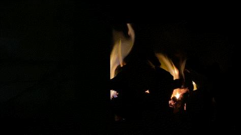 「Norden」草原上的缄默声