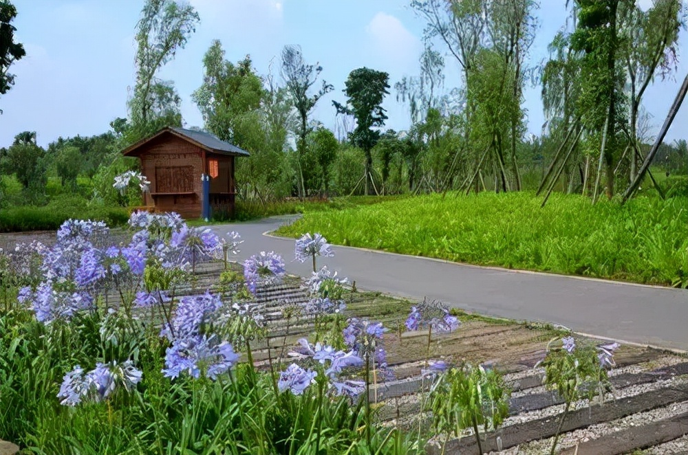 让人羡慕成都人,为什么成都人那么好看