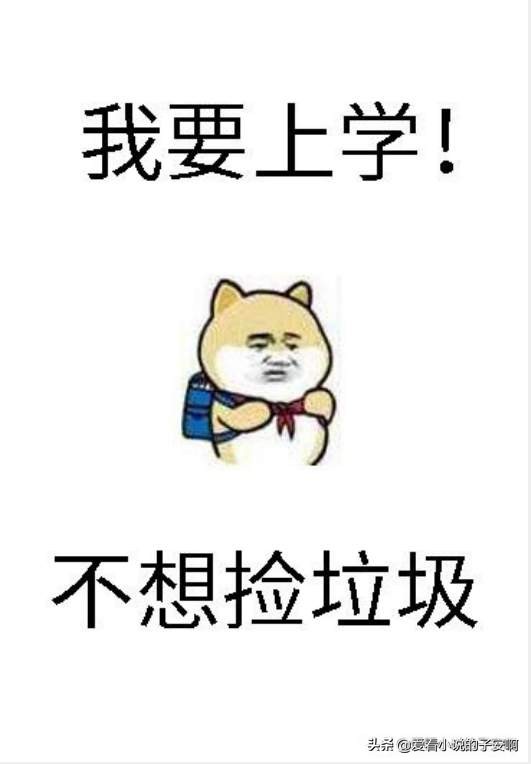 四月完结新文合集|等到风景都看透，也许你会陪我看细水长流