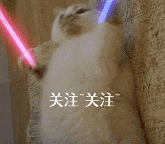 德牧太调皮怎么训练,德牧为什么那么调皮