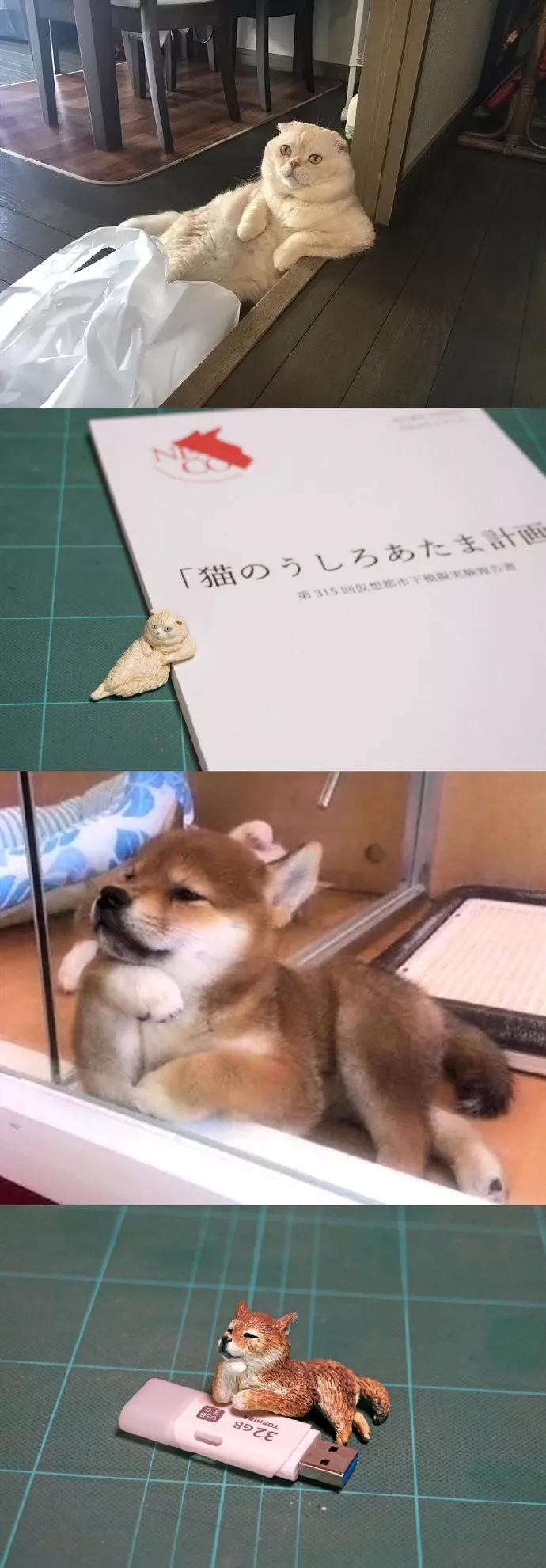 动物沙雕表情包搞笑,沙雕模仿动物表情包