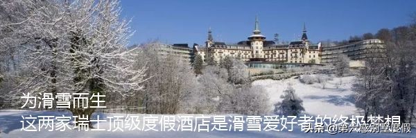 中国天才少女入籍韩国为韩国夺冠,归化的滑雪天才少女