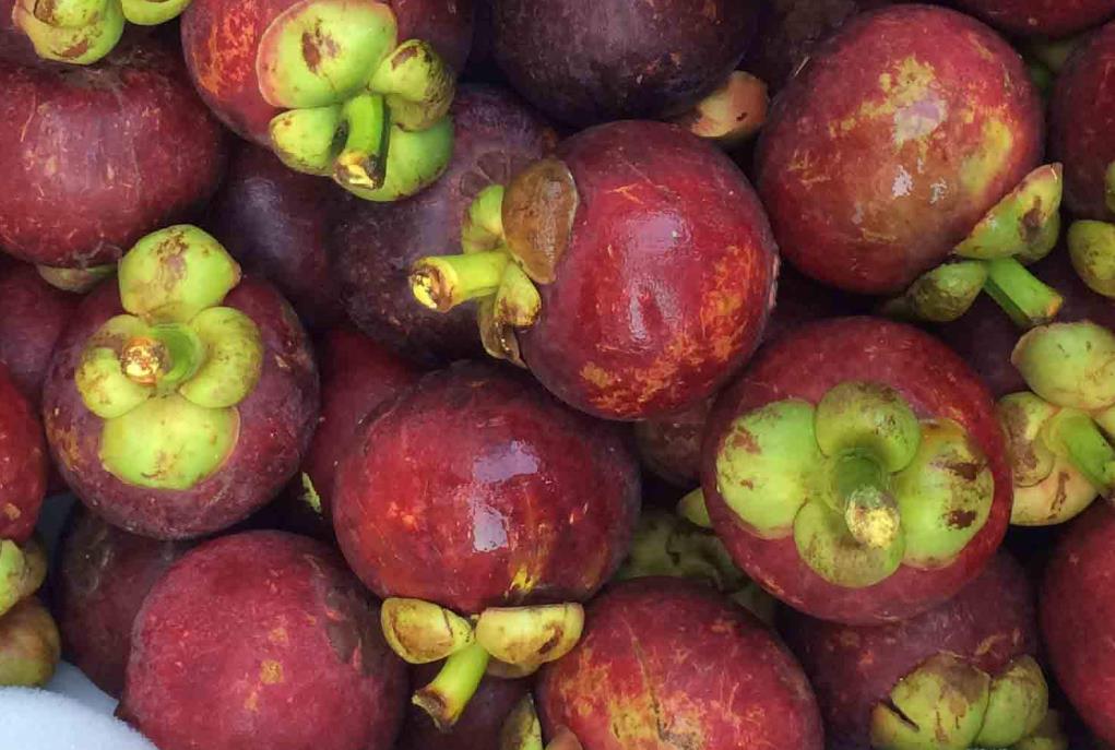 山竹挑选小技巧学会了个个都新鲜,挑选好又甜的山竹方法介绍