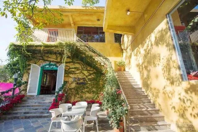 深圳免费公园哪里最好啊,深圳十大免费公园景点大全