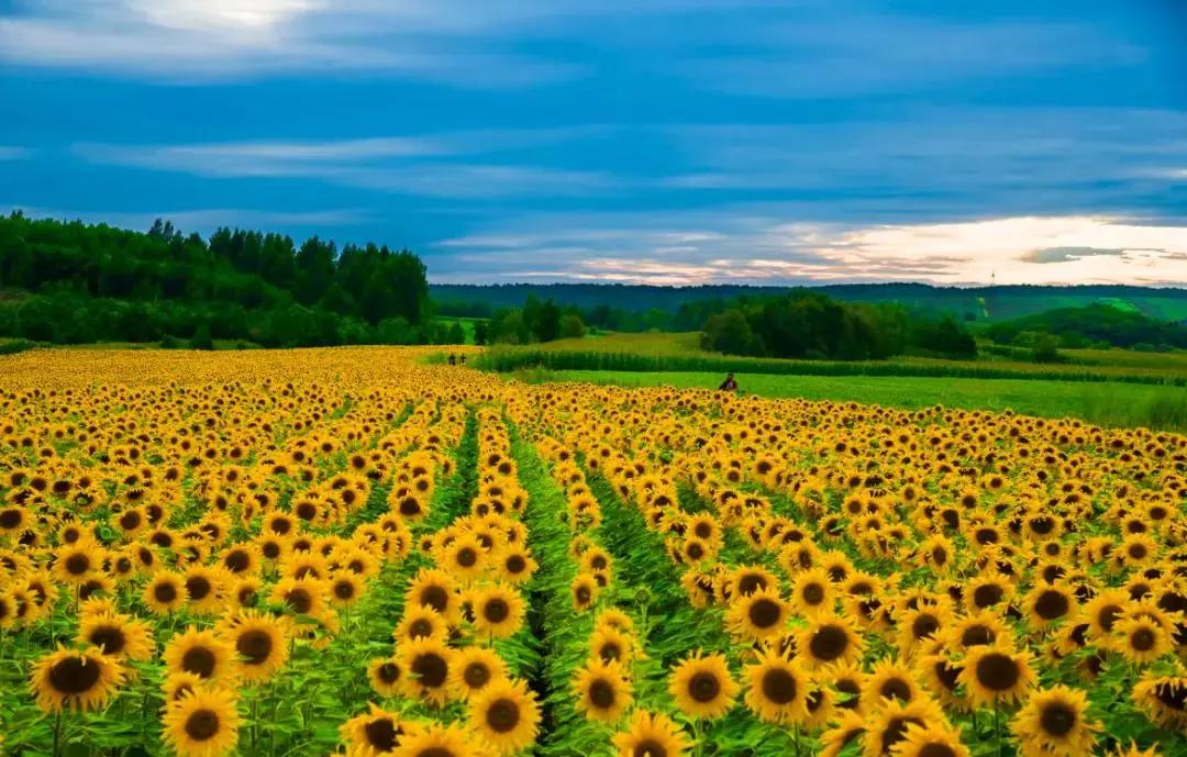 夏季黑河旅游攻略,夏季黑河旅游
