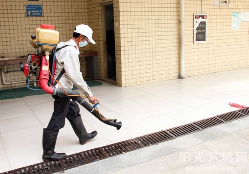 “登革”的意思，是我们平常用来骂人的哪句话？