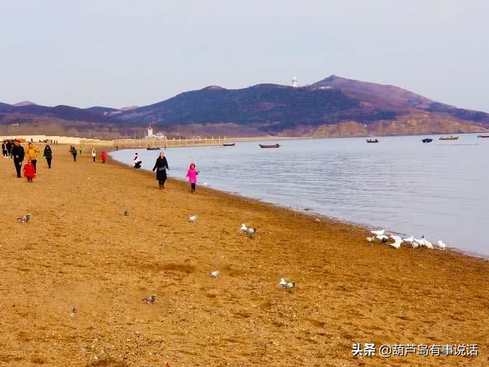 葫芦岛龙湾海滨风景区夜景,葫芦岛海滨国家重点风景名胜区
