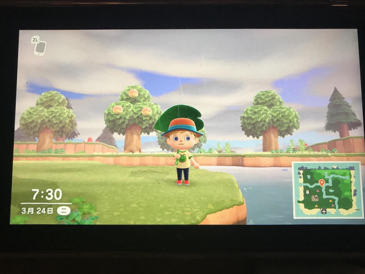 为什么动物之森火起来,第五代动物之森