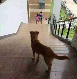 七夕没人爱？不打紧，张老师儿来宠你！