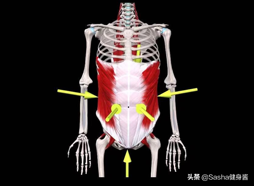 杜蕾斯男模,杜蕾斯新晋男模