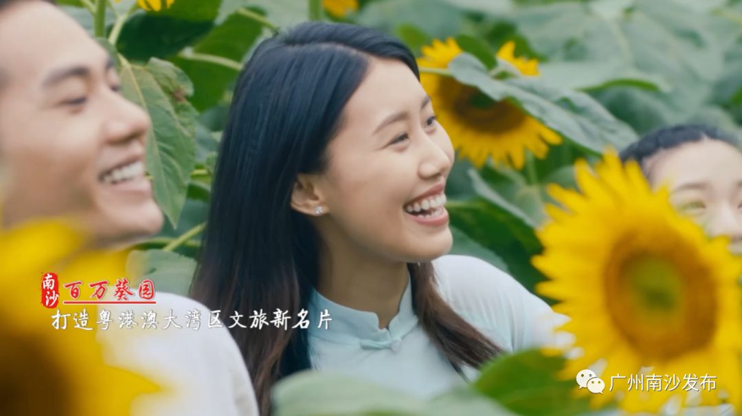 南沙真的美,南沙以后到底会怎么样