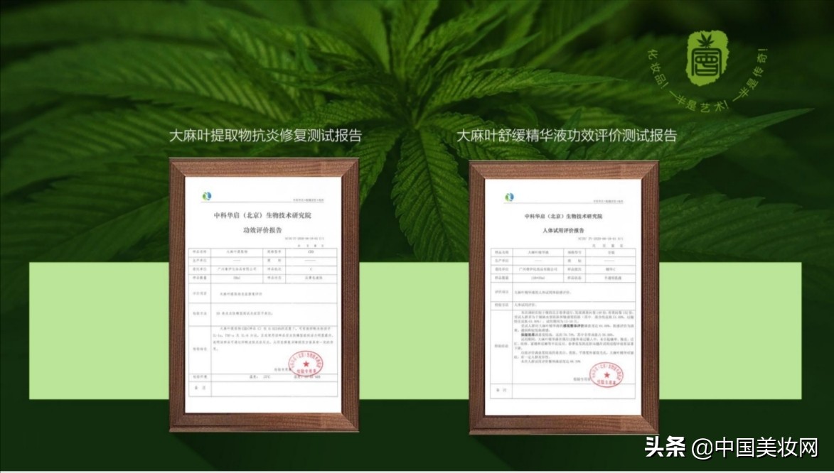 不断被追捧的*麻大**叶化妆品，谁在助力爆发？