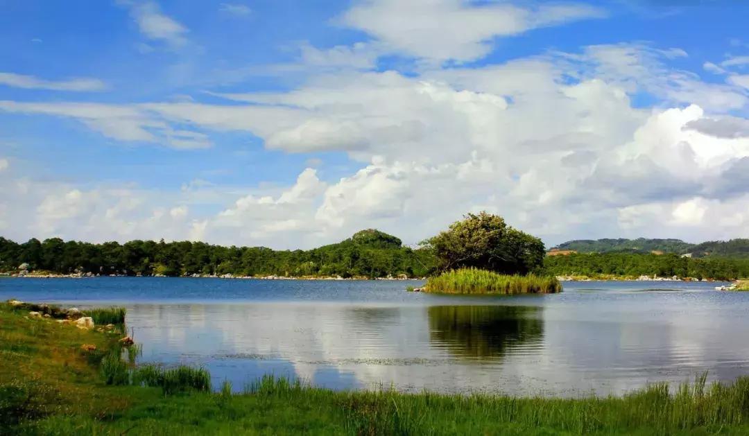 昆明石林景区值得去吗,昆明石林精华景点