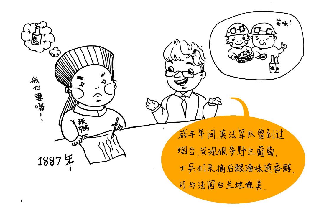 葡萄酒发展史和经典产区鉴赏,葡萄酒的发展史及文化