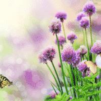 老年如球，50是篮球，60是排球，70是足球，谁总结的很现实~