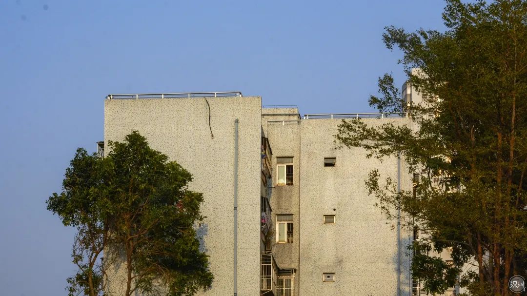 景甜有多大,景田是什么档次