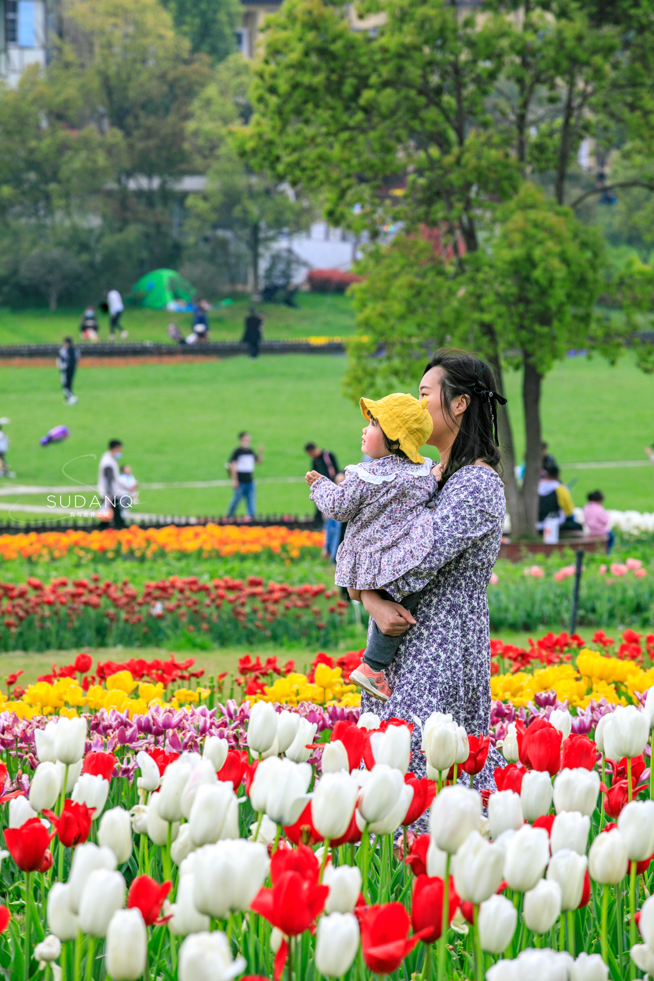 最值得去的鲜花小镇,距离武汉不远的景区